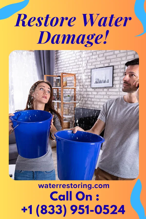 water restoration Platinum Water Repair Specialists Kincora