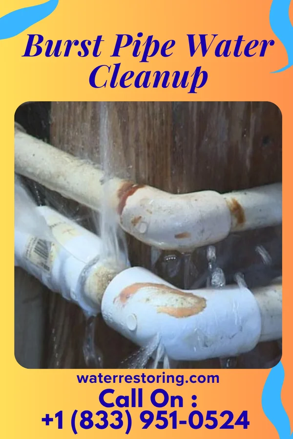 Burst Pipe Water Cleanup in Kincora, VA