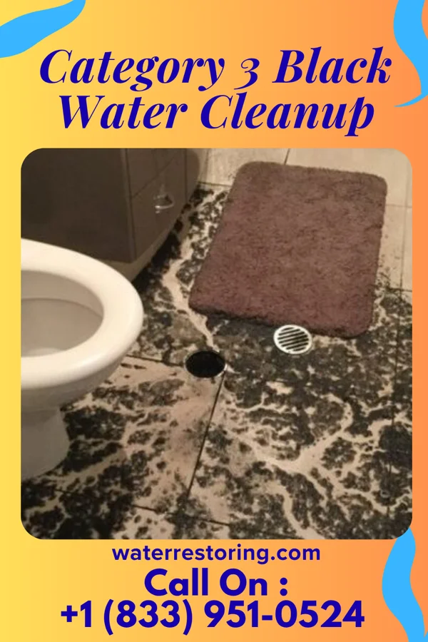Category 3 Black Water Cleanup in Kincora, VA