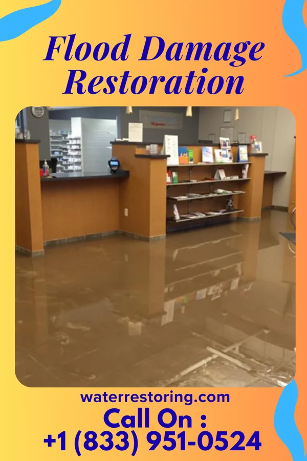 Flood Damage Restoration in Kincora, VA