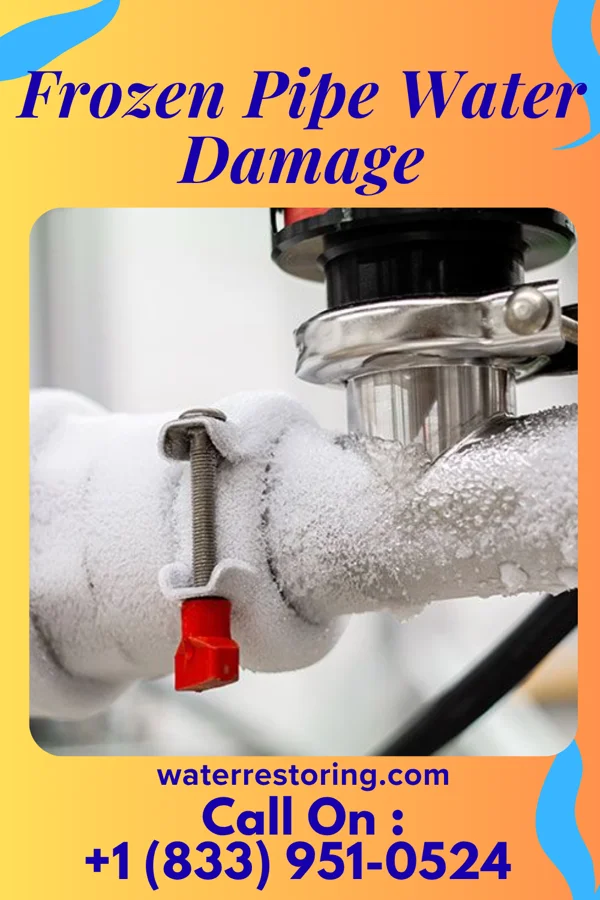 Frozen Pipe Water Damage in Kincora, VA