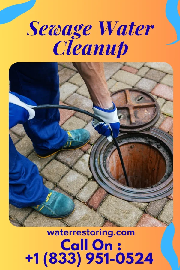 Sewage Water Cleanup in Kincora, VA