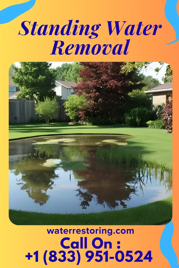 Standing Water Removal in Kincora, VA